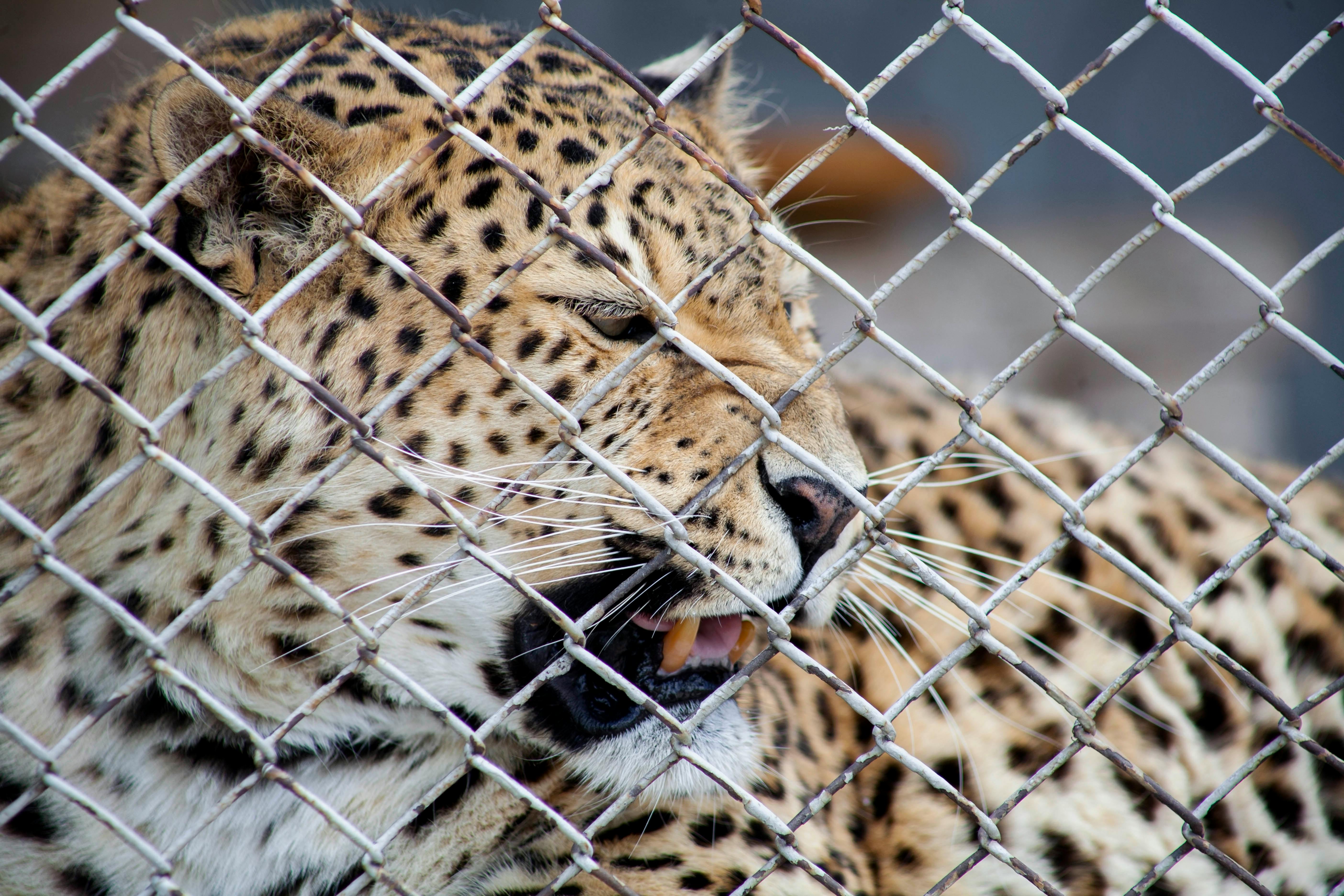 pexels-145486896-10519751