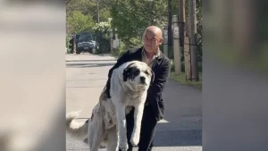 Дизайн без названия (21)