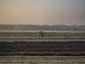 pexels-jakub-sambor-24567187-7731069