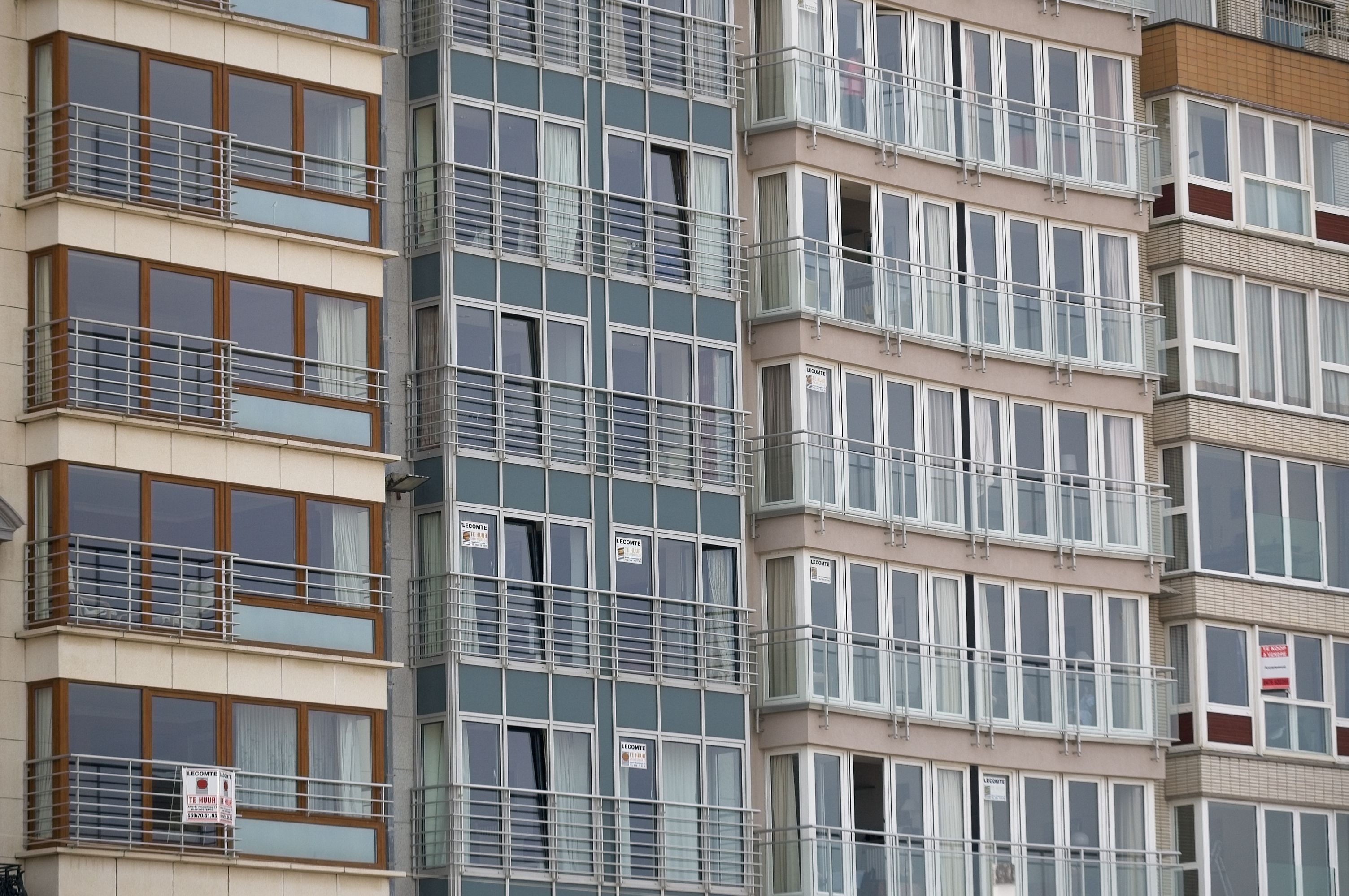 pexels-ehma-18302464