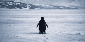 lifestyle__kazahstantsy-obsuzhdayut-istoriyu-pingvina-nigilista