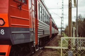 pexels-sergey-isaev-76104630-8586719