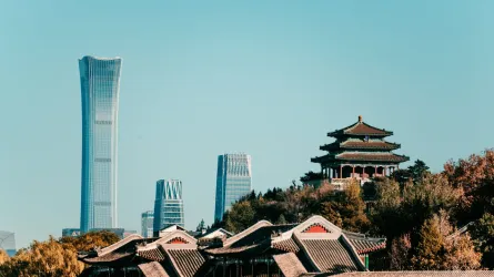 pexels-zhangkaiyv-16144416