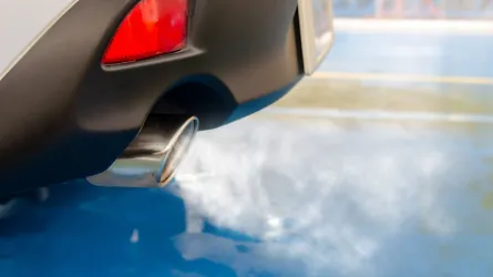 pexels-khunkorn-laowisit-1359149-5233282