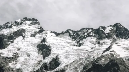 pexels-lastly-1022454