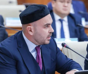 laws__senat-odobril-filtr-dlya-tvorchestva-vvedeny-popravki